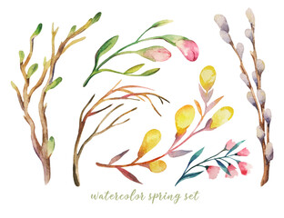 Fototapeta na wymiar Watercolor spring flowers, leaves, branches and plants set. Collection of hand drawn forest nature elemnts isolated on white iperfect for design project