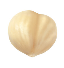 One peeled hazelnut isolated on white background