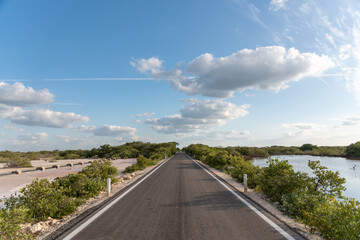 Fototapeta premium A lonely road through a dry mexican fresh water reservoir area - Progreso, Mexico (Wallpaper)