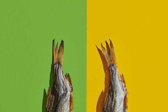 Two dried or jerky salted taranka tails, palatable clipfish isolated on yellow and green background. Popular beer appetizer. Close up