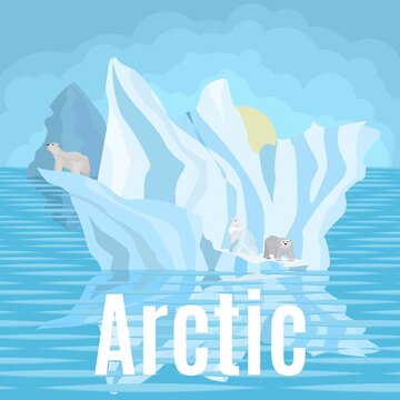 Arctic polar bears in the snow on icebergs near