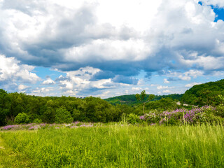 Fototapeta na wymiar Landscape photo taken in Cuddy, Pennsylvania overlooking Alpine