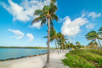 Tropical beach in Florida Keys