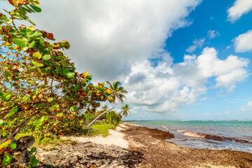 Autre Bord beach under a cloudy sky