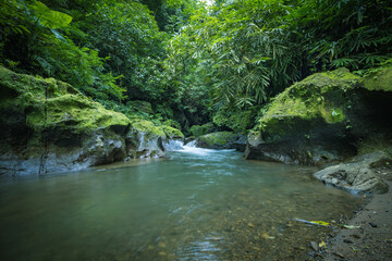 Tropical landscape. River in jungle. Soft focus. Slow shutter speed, motion photography. Nature background. Environment concept. Bangli, Bali, Indonesia