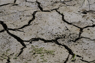 Trockenheit und Dürre