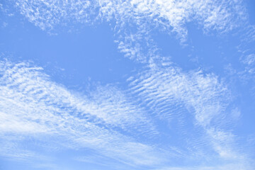 altocumulus clouds like fluff float in the sky.