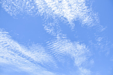 altocumulus clouds like fluff float in the sky.