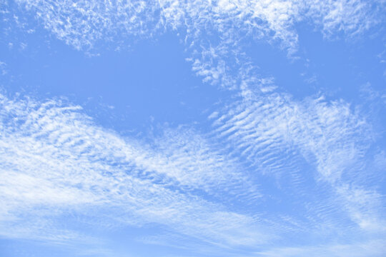 altocumulus clouds like fluff float in the sky.