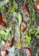 Herbs and spices on a dark background top view, flat lay. Sage, oregano, thyme, hot pepper and other spices on a dark iron background.