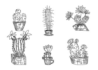 selection of cacti in pots sketch doodle drawings