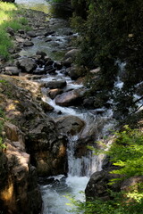 森の中の渓流と小さな滝
