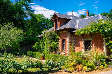 old house in the woods