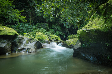 Tropical landscape. River in jungle. Soft focus. Slow shutter speed, motion photography. Nature background. Environment concept. Bangli, Bali, Indonesia