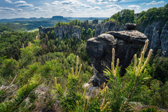 Panoramic view of famous Bastei national park Saxon Switzerland, Germany. Pine tree on stone edge. Ferdinandstein formation mountains in spring season