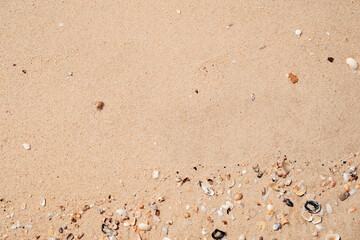 Copy space of sand beach texture abstract background.