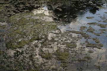 Wasser in einem See mit Stille und Ruhe
