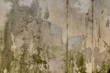 The surface of the wall that is corroded.