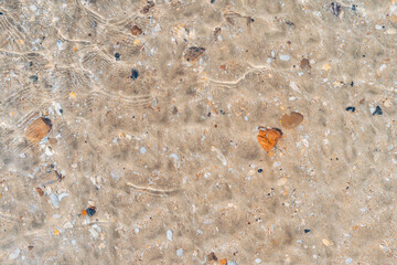 Copy space of sand beach texture abstract background.