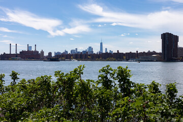 Fototapeta na wymiar The Manhattan Skyline seen from Hunters Point South Park in Long Island City Queens with a Green Bush