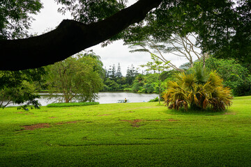 Hawaian botanical Park, a beautiful garden with a lake in O'ahu island, Hawaii - obrazy, fototapety, plakaty