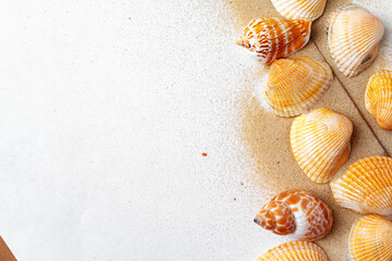 Clipboard with sea shells on wooden table close up, copy space
