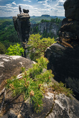Unrecognized silhouette climber on mountain top in famous Bastei rock formation of national park...