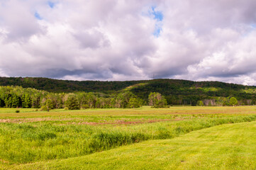 Fototapeta na wymiar A grassy field in front of a forest with mountains in the background under bright white clouds on a summer day in Warren County, Pennsylvania, USA