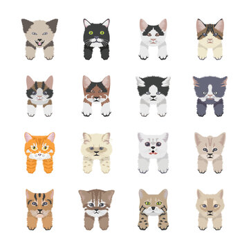 Cat Breeds Icons 