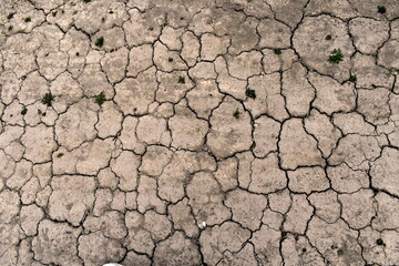 Dry gray earth in small cracks, a little grass
