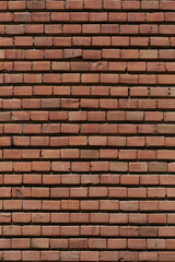 Obraz premium wall texture in sun