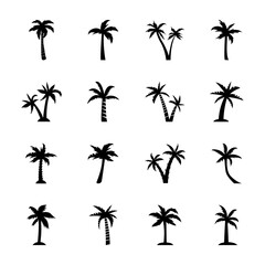 Fototapeta na wymiar Palm Tree Outline
