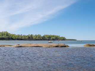 Baltic sea shore with trees