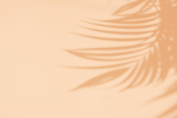 Tropical palm leaves natural shadow overlay on orange texture background, for overlay on product...
