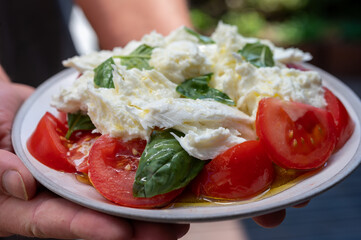 Waiter in cafe holding in hands fresh vegetarian caprese salad made from buffalo mozzarella cheese, fresh basil, tomatoes, olive oil. Italian food served outdoor on terrace