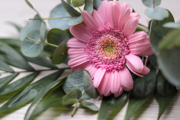
pink gerbera wrapped in eucalyptus, concept for greeting cards or birthday cards
