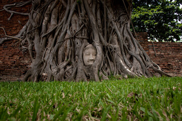 Inside Wat Maha That in Ayutthaya province, Thailand.