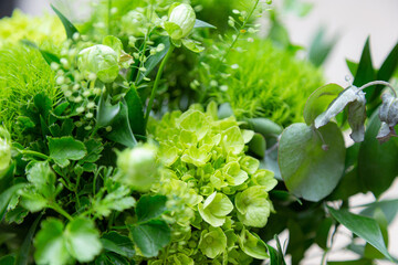 グリーンアレンジメント