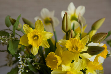 Obraz na płótnie Canvas A bouquet of flowers daffodils, tulips and white bird cherry.