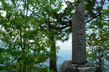 Komainu (shrine guardian animal statues) at Mitsumine Jinja Shrine at Chichibu, Tokyo, Japan.  This "Komainu" is a wolf not a dog. 
Japanese text on front is "Votive", rear "Mitsumine Jinja Shrine".