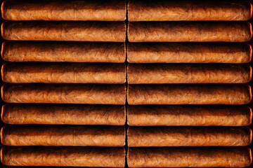 Cuban cigars on a wooden table closeup in a wooden humidore.A modern businessman's hobby