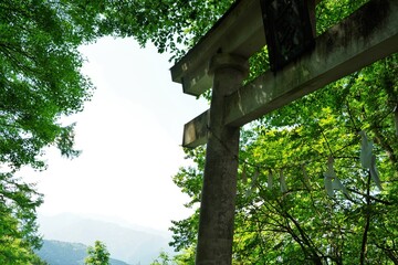 Shinto shrine gate 
