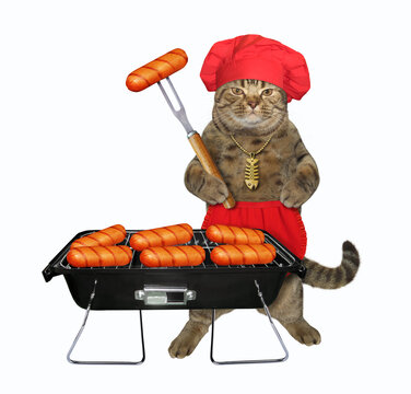 The beige cat in red cook uniform with a gold fish-bone pendant is cooking grilled sausages. White background. Isolated.