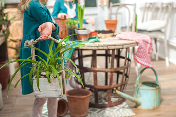 Stay at home. Home gardening in the greenhouse. Girls sisters and house plants. Urban jungle.