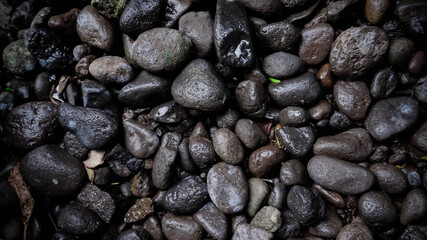 a collection of wet stones taken in the afternoon. rocks formed from molten magma, sedimentary rocks formed from sediment deposits and certain material pressures