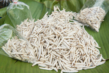 THAILAND CHIANG RAI MARKET THAI FOOD WORM