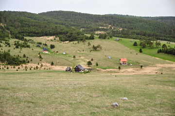 Obraz premium Panorama of a path through forest