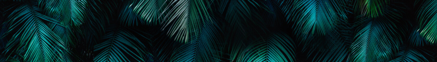 Web sized banner of tropical jungle style palm leaves