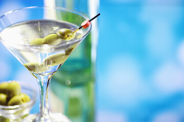 Travel concept. Tourist accessories gather in flight. Alcohol, camera, map and items.