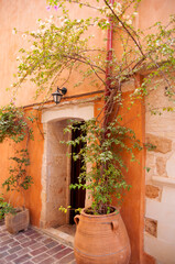 Fototapeta na wymiar Entrance of house in mediterranean style decorated with liana in big flower pot